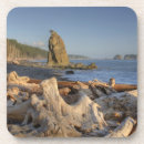 Search for washington coasters Olympic national park