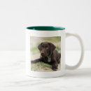 Search for chocolate lab puppy mugs Labrador retriever