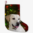Search for yellow lab christmas stockings Dog lover