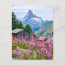 Search for swiss chalet postcards Landscape