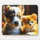 Search for orange dogs electronics Cat