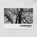 Search for contrast business cards Modern