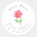 Search for pink and green address stickers Modern