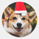Search for corgi christmas stickers Funny