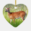 Search for sportsman christmas tree decorations Nature