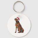 Search for rhodesian ridgeback dog key rings Dogs