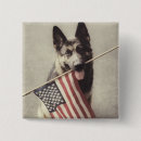 Search for shepherds badges Dog