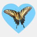 Search for butterfly photo stickers Photography