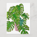 Search for pot leaf postcards Plant