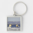 Search for endangered species key rings Global warming