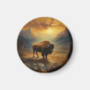 Search for theodore magnets Bison