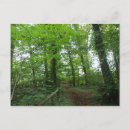 Search for forest path postcards Leaves