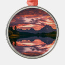 Search for nature christmas tree decorations Sunset