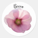 Search for hollyhock stickers Pink