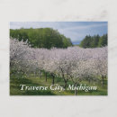 Search for traverse city postcards Cherry