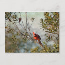 Search for wax postcards Nature
