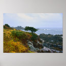 Search for white rock posters Coast