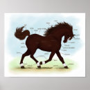 Search for horse posters Dressage