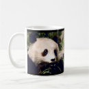 Search for panda bamboo mugs Bear