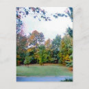 Search for baum postcards Frank