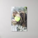 Search for bite canvas prints Dog