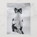 Search for winter humour postcards Dog