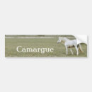 Search for stallion bumper stickers White