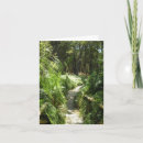 Search for forest walk cards Woods