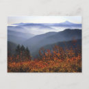 Search for columbia river gorge postcards Forest
