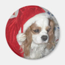 Search for charles magnets Pets