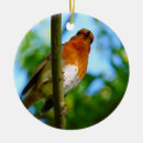 Search for robin bird christmas tree decorations Nature