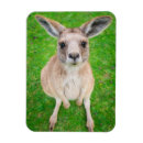 Search for image magnets Photography
