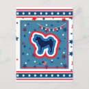 Search for akitas postcards Pets