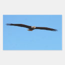 Search for bird flight stickers Wildlife