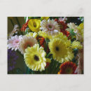 Search for gerberas postcards Yellow