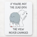 Search for dog leads Animal