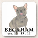 Search for french bulldog coasters Blue
