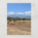 Search for cretan postcards Crete