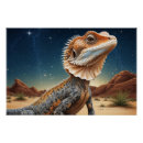 Search for no frills posters Wildlife