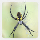 Search for scary spider stickers Halloween