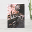 Search for boardwalks cards Photography