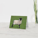 Search for sheep note cards Lamb