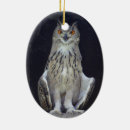 Search for white owl christmas tree decorations Raptor