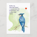 Search for blue jay postcards Birds