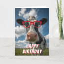 Search for dairy cow birthday cards White