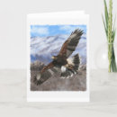Search for hawking cards Falcon