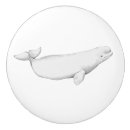 Search for whale knobs and pulls Illustration