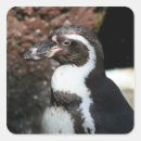 Search for humboldt stickers Animal