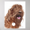 Search for labradoodle art Dogs