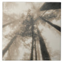 Search for black and white photo tiles Tree